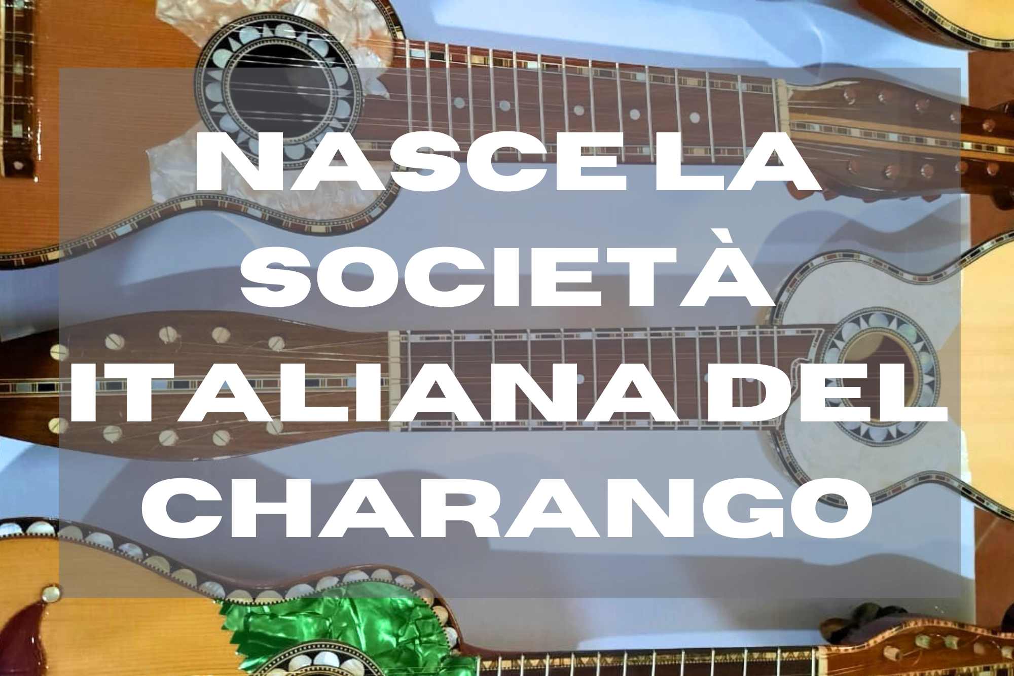 NASCE LA SOCIETÀ ITALIANA DEL CHARANGO