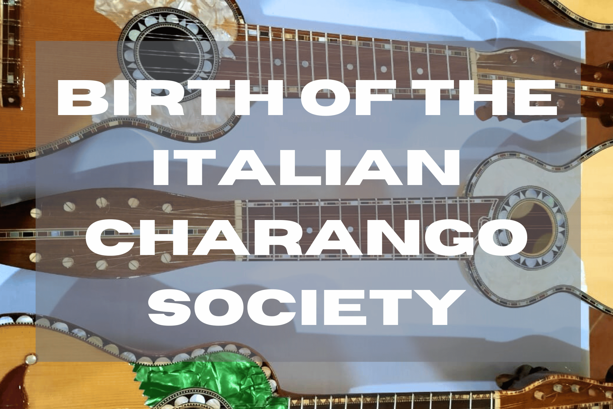 Birth of the Italian Charango Society