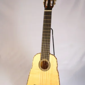 Concert ronroco by Ignacio Suárez