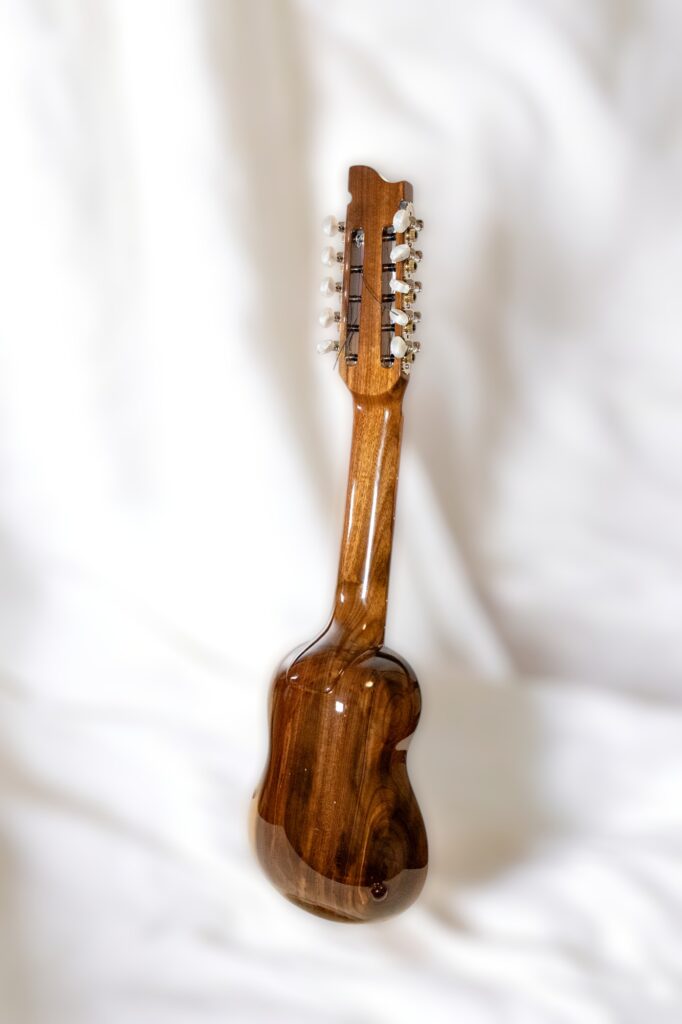 Edgar Suarez - Charango Media Tapa - immagine 2