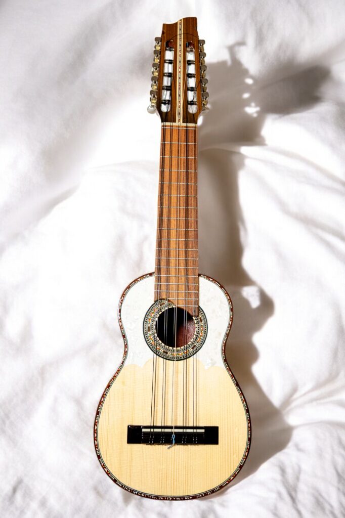 Charango Edgar Suárez - Classico - immagine 2