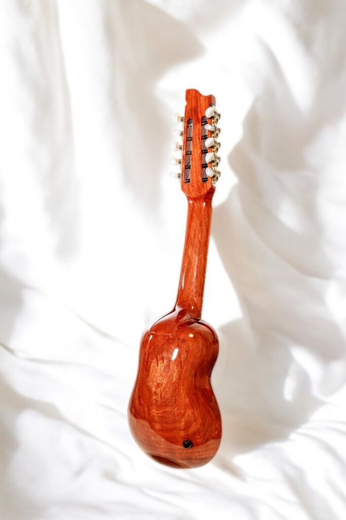 Charango Edgar Suárez - Classico - immagine 4