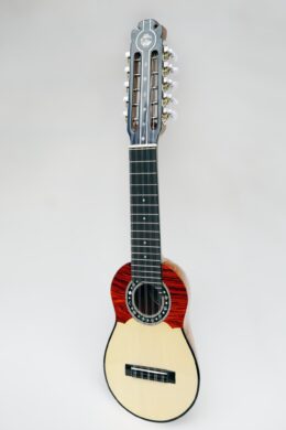 Concert charango by Pedro Quispe Torrez